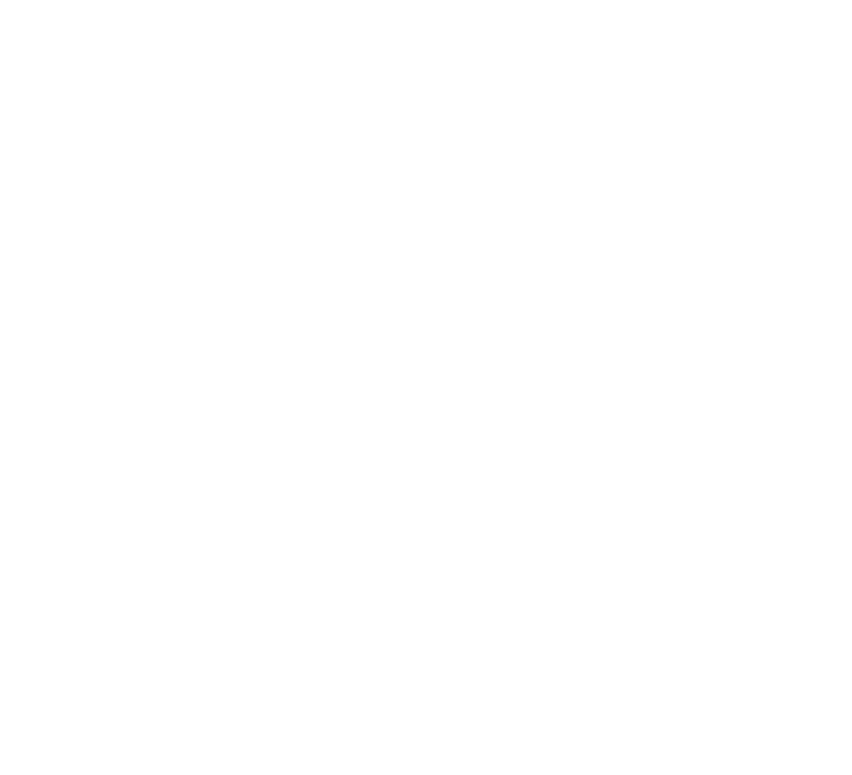 Super Sparrow