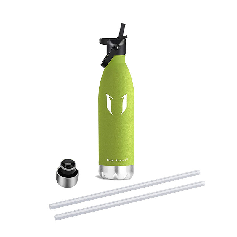 Vacuum Insulated Water Bottle with Straw Lid, 17OZ / 500ML